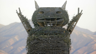 Burning Man Riddled with Brutal Pest Infestation